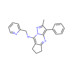 Cc1nn2c(NCc3ccccn3)c3c(nc2c1-c1ccccc1)CCC3 ZINC000012421716