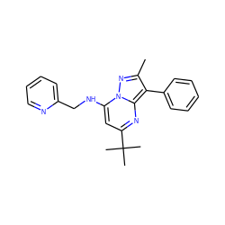 Cc1nn2c(NCc3ccccn3)cc(C(C)(C)C)nc2c1-c1ccccc1 ZINC000012374426