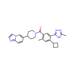 Cc1nnc(-c2cc(C(=O)N3CCC(c4ccc5nccn5c4)CC3)c(C)cc2C2CCC2)[nH]1 ZINC000142704101