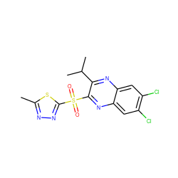 Cc1nnc(S(=O)(=O)c2nc3cc(Cl)c(Cl)cc3nc2C(C)C)s1 ZINC000028950884