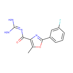 Cc1oc(-c2cccc(F)c2)nc1C(=O)N=C(N)N ZINC000040836312