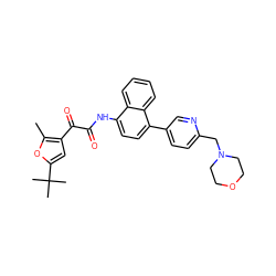 Cc1oc(C(C)(C)C)cc1C(=O)C(=O)Nc1ccc(-c2ccc(CN3CCOCC3)nc2)c2ccccc12 ZINC000040938447