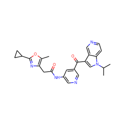 Cc1oc(C2CC2)nc1CC(=O)Nc1cncc(C(=O)c2cn(C(C)C)c3ccncc23)c1 ZINC001772639874