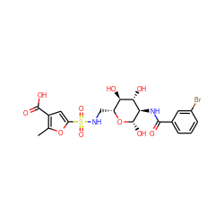 Cc1oc(S(=O)(=O)NC[C@H]2O[C@@H](O)[C@H](NC(=O)c3cccc(Br)c3)[C@@H](O)[C@@H]2O)cc1C(=O)O ZINC000200849002