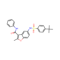 Cc1oc2ccc(NS(=O)(=O)c3ccc(C(C)(C)C)cc3)cc2c1C(=O)Nc1ccccc1 ZINC000008666869