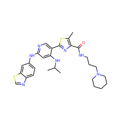 Cc1sc(-c2cnc(Nc3ccc4ncsc4c3)cc2NC(C)C)nc1C(=O)NCCCN1CCCCC1 ZINC000223365319