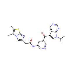 Cc1sc2nc(CC(=O)Nc3cncc(C(=O)c4cn(C(C)C)c5ncncc45)c3)cn2c1C ZINC000169707903