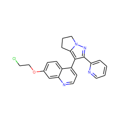 ClCCOc1ccc2c(-c3c(-c4ccccn4)nn4c3CCC4)ccnc2c1 ZINC000014976383