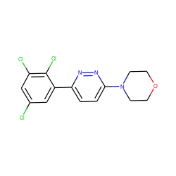 Clc1cc(Cl)c(Cl)c(-c2ccc(N3CCOCC3)nn2)c1 ZINC000045339736