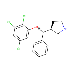 Clc1cc(Cl)c(Cl)c(O[C@@H](c2ccccc2)[C@H]2CCNC2)c1 ZINC000095586104