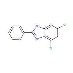 Clc1cc(Cl)c2nc(-c3ccccn3)[nH]c2c1 ZINC000113173557