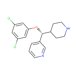 Clc1cc(Cl)cc(O[C@@H](c2cccnc2)C2CCNCC2)c1 ZINC000043062140