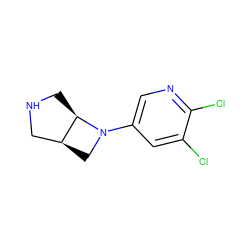 Clc1cc(N2C[C@H]3CNC[C@H]32)cnc1Cl ZINC000028865898