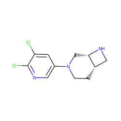 Clc1cc(N2CC[C@H]3CN[C@H]3C2)cnc1Cl ZINC000035080248