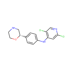 Clc1cc(Nc2ccc([C@H]3CNCCO3)cc2)c(Cl)cn1 ZINC000149989658