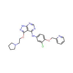 Clc1cc(Nc2ncnc3[nH]nc(OCCN4CCCC4)c23)ccc1OCc1ccccn1 ZINC000029128766