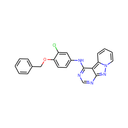 Clc1cc(Nc2ncnc3nn4ccccc4c23)ccc1OCc1ccccc1 ZINC000028137756