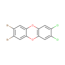 Clc1cc2c(cc1Cl)Oc1cc(Br)c(Br)cc1O2 ZINC000013776251