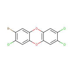 Clc1cc2c(cc1Cl)Oc1cc(Br)c(Cl)cc1O2 ZINC000006091478