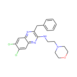 Clc1cc2nc(Cc3ccccc3)c(NCCN3CCOCC3)nc2cc1Cl ZINC000028572252