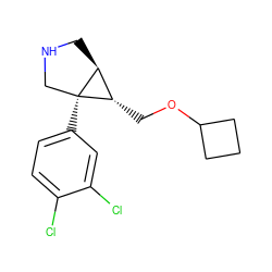 Clc1ccc([C@]23CNC[C@H]2[C@@H]3COC2CCC2)cc1Cl ZINC000045390747