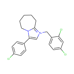 Clc1ccc(-c2c[n+](Cc3ccc(Cl)cc3Cl)c3n2CCCCC3)cc1 ZINC000001812502