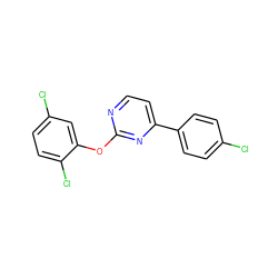 Clc1ccc(-c2ccnc(Oc3cc(Cl)ccc3Cl)n2)cc1 ZINC000001402086