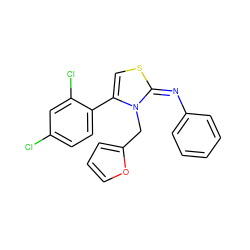 Clc1ccc(-c2csc(=Nc3ccccc3)n2Cc2ccco2)c(Cl)c1 ZINC000254567728