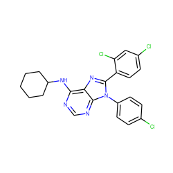 Clc1ccc(-n2c(-c3ccc(Cl)cc3Cl)nc3c(NC4CCCCC4)ncnc32)cc1 ZINC000040974265