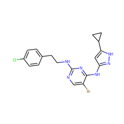 Clc1ccc(CCNc2ncc(Br)c(Nc3cc(C4CC4)[nH]n3)n2)cc1 ZINC000203008307