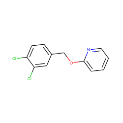 Clc1ccc(COc2ccccn2)cc1Cl ZINC000000503693