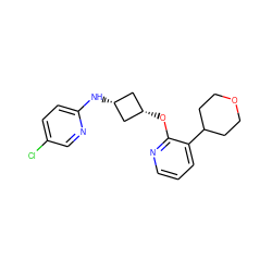 Clc1ccc(N[C@H]2C[C@@H](Oc3ncccc3C3CCOCC3)C2)nc1 ZINC000144306520