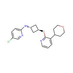 Clc1ccc(N[C@H]2C[C@H](Oc3ncccc3C3CCOCC3)C2)nc1 ZINC000146909511