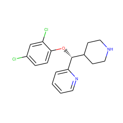 Clc1ccc(O[C@@H](c2ccccn2)C2CCNCC2)c(Cl)c1 ZINC000042922575