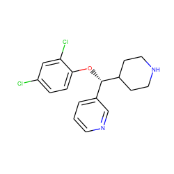 Clc1ccc(O[C@@H](c2cccnc2)C2CCNCC2)c(Cl)c1 ZINC000042966222