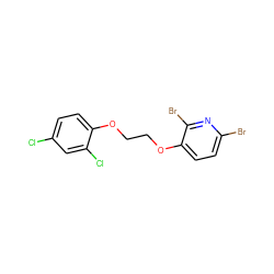 Clc1ccc(OCCOc2ccc(Br)nc2Br)c(Cl)c1 ZINC000066166583