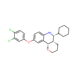 Clc1ccc(Oc2ccc3c(c2)[C@H]2OCCC[C@H]2[C@@H](C2CCCCC2)N3)cc1Cl ZINC000095585924