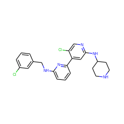 Clc1cccc(CNc2cccc(-c3cc(NC4CCNCC4)ncc3Cl)n2)c1 ZINC000169703671