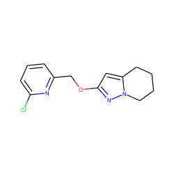 Clc1cccc(COc2cc3n(n2)CCCC3)n1 ZINC000096911202