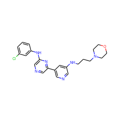 Clc1cccc(Nc2cncc(-c3cncc(NCCCN4CCOCC4)c3)n2)c1 ZINC000013648400