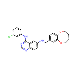 Clc1cccc(Nc2ncnc3ccc(NCc4ccc5c(c4)OCCCCO5)cc23)c1 ZINC000084672361