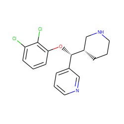 Clc1cccc(O[C@@H](c2cccnc2)[C@H]2CCCNC2)c1Cl ZINC000043015957