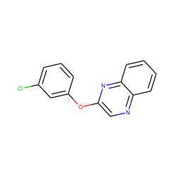 Clc1cccc(Oc2cnc3ccccc3n2)c1 ZINC000003015995