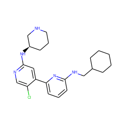 Clc1cnc(N[C@@H]2CCCNC2)cc1-c1cccc(NCC2CCCCC2)n1 ZINC000169703687