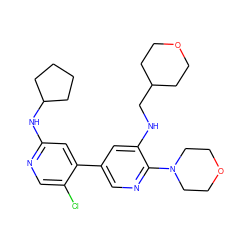 Clc1cnc(NC2CCCC2)cc1-c1cnc(N2CCOCC2)c(NCC2CCOCC2)c1 ZINC000204561103