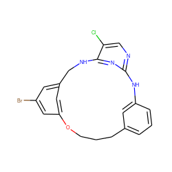 Clc1cnc2nc1NCc1cc(Br)cc(c1)OCCCc1cccc(c1)N2 ZINC000142443823