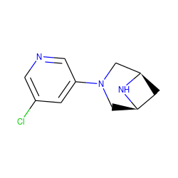 Clc1cncc(N2C[C@@H]3C[C@H](C2)N3)c1 ZINC000213998707