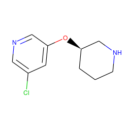 Clc1cncc(O[C@@H]2CCCNC2)c1 ZINC000013704002