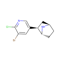 Clc1ncc([C@H]2C[C@H]3CC[C@H]2N3)cc1Br ZINC000100048013