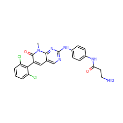 Cn1c(=O)c(-c2c(Cl)cccc2Cl)cc2cnc(Nc3ccc(NC(=O)CCN)cc3)nc21 ZINC000038576766